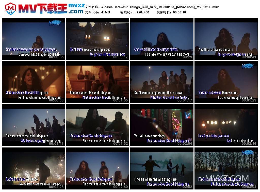 Alessia Cara-Wild Things_英语_流行_MC800153